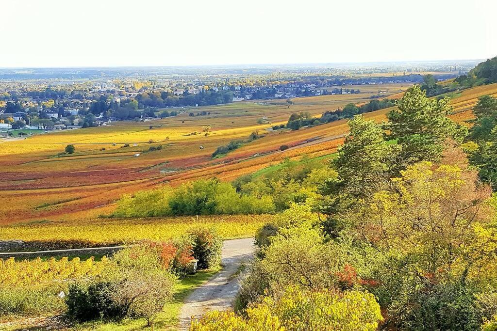 La Maison De L'Ecu : Charme Et Vue Incroyable Beaune  Eksteriør bilde