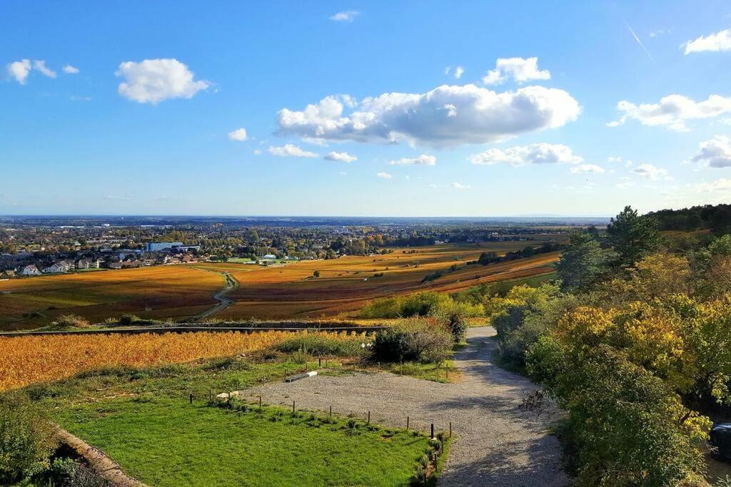 La Maison De L'Ecu : Charme Et Vue Incroyable Beaune  Eksteriør bilde