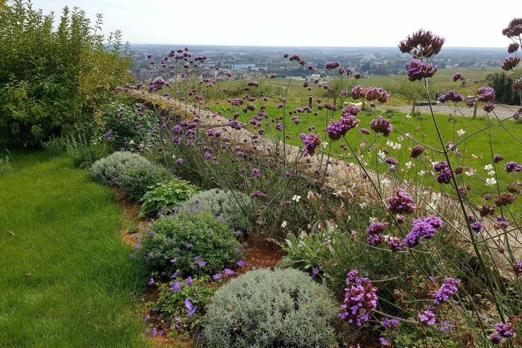 La Maison De L'Ecu : Charme Et Vue Incroyable Beaune  Eksteriør bilde